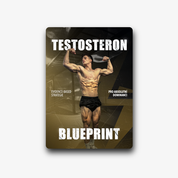 Testosteron Blueprint